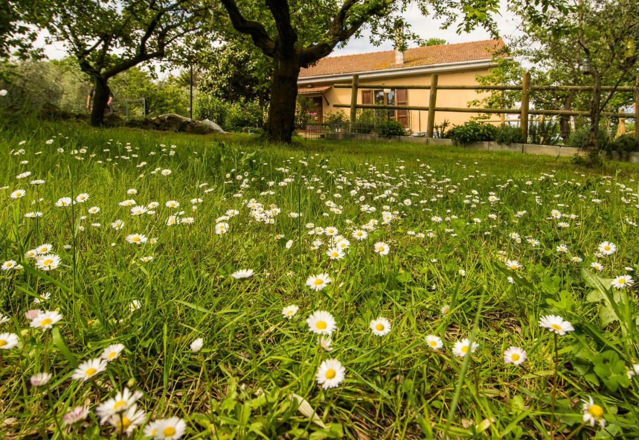 B&B La Farnia Casciana Terme Exterior foto